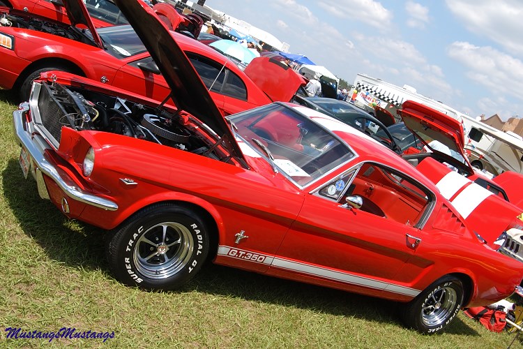 P-51 Mustang