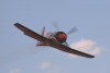 IMG0004t