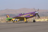 IMG0079t
