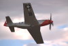 IMG0095t