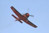 IMG0096t