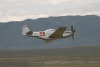 IMG0061t