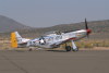 IMG0077t