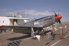 IMG0097t