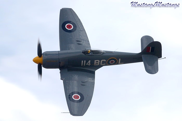 P-51 Mustang