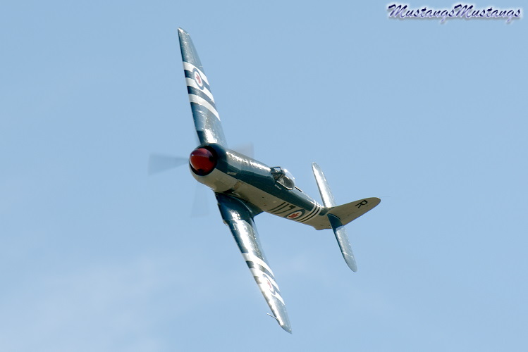 P-51 Mustang