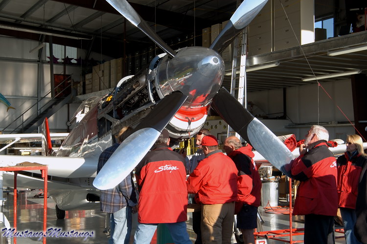 P-51 Mustang