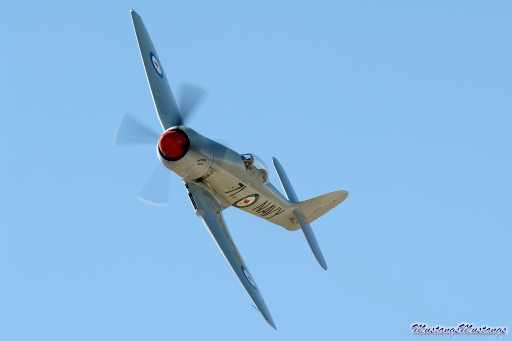 P-51 Mustang