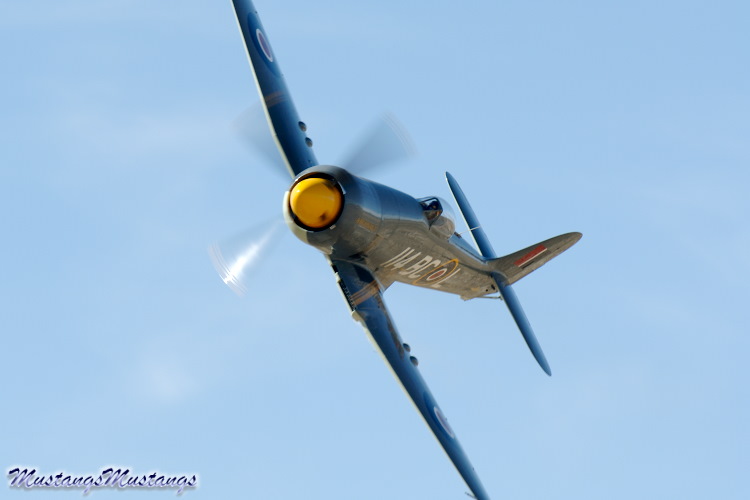 P-51 Mustang