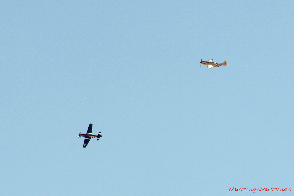 P-51 Mustang