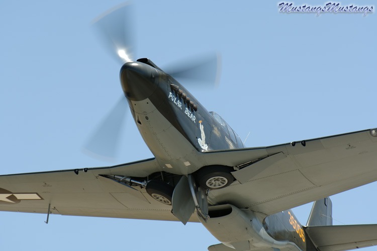 P-51 Mustang
