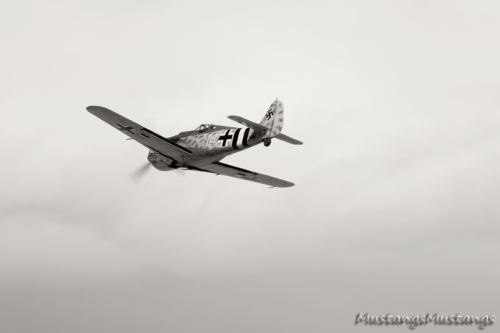 P-51 Mustang