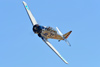 Reno2010_10677t