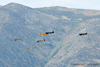 Reno_2010_11512t