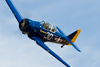 Reno_2010_11539ct