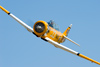 Reno_2010_11549t