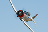 Reno_2010_11561t