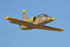 Reno_2010_12434t