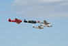 Reno_2010_12806ct