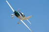 Reno_2010_1382t