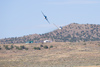 Reno_2010_2489t