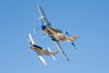 Reno2010_10366t
