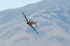 Reno2010_10555ct