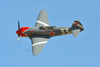 Reno2010_10848t