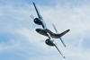 Reno2010_10871t