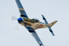 Reno_2010_11503t