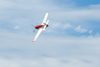 Reno_2010_11871t