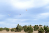 Reno_2010_12296ct
