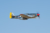 Reno_2010_2629t