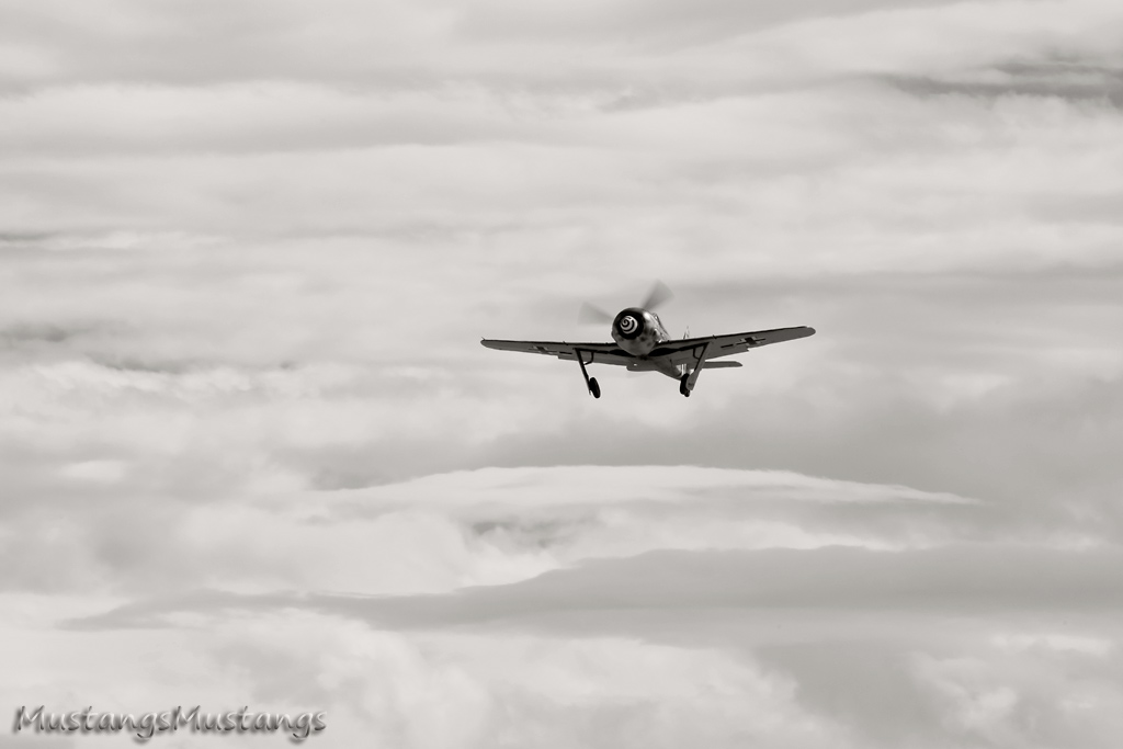 P-51 Mustang