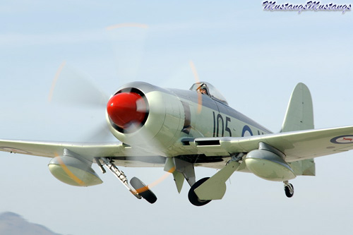 P-51 Mustang at Warbirds