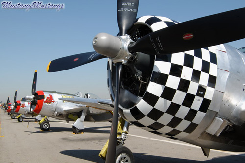 P-51 Mustang at Warbirds