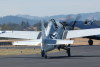 uwf.cats.4294t.jpg