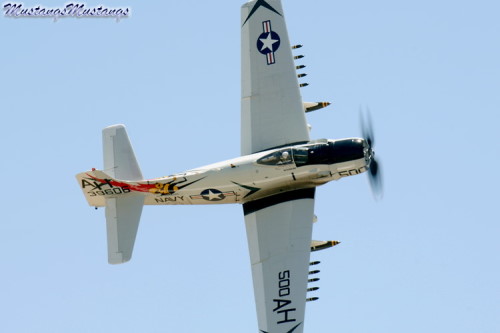 P-51 Mustang at Chino 2005