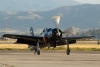CF6_3774t.jpg