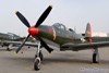 CH6_0482t.jpg