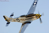CH6_0934wpt.jpg