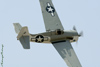 CH7_2488t.jpg