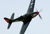 CH7_2542t.jpg