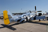 GM7_0142t.jpg