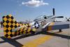 GM7_0156t.jpg