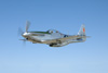 MF8_2027dt.jpg