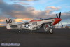 50-20t.jpg
