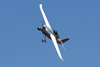 RN7_9235wt.jpg