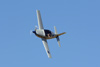 RN7_7535wt.jpg