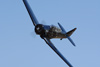 RN7_7690wt.jpg